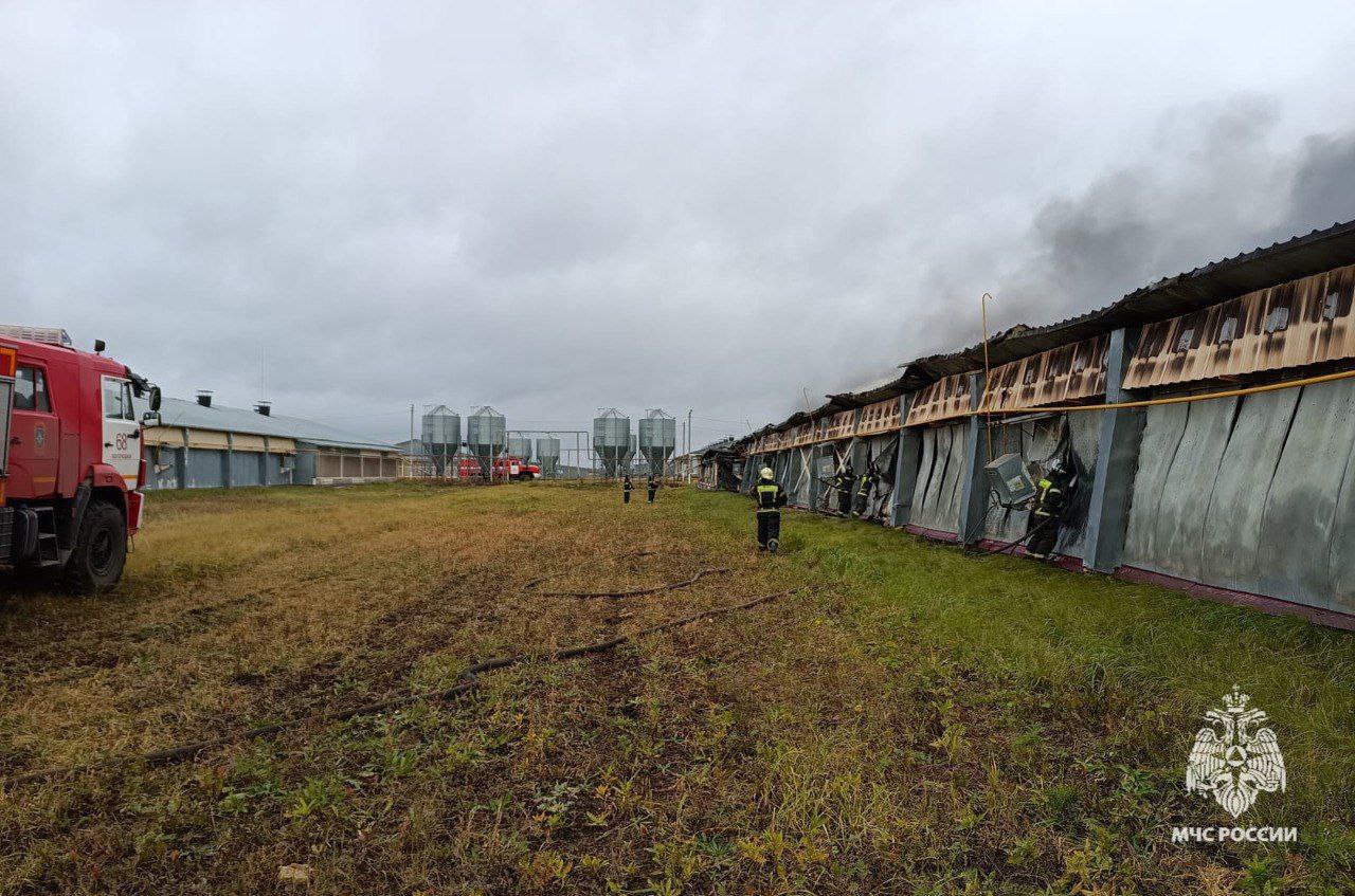 Фото: ГУ МЧС России по Тульской области