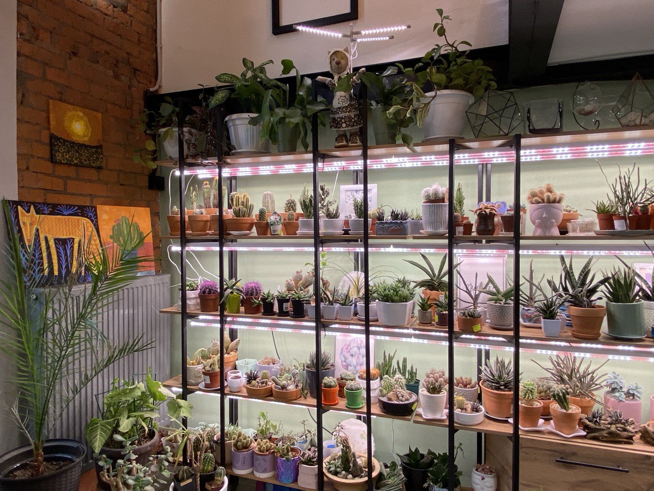 Фото: Тульская служба новостей