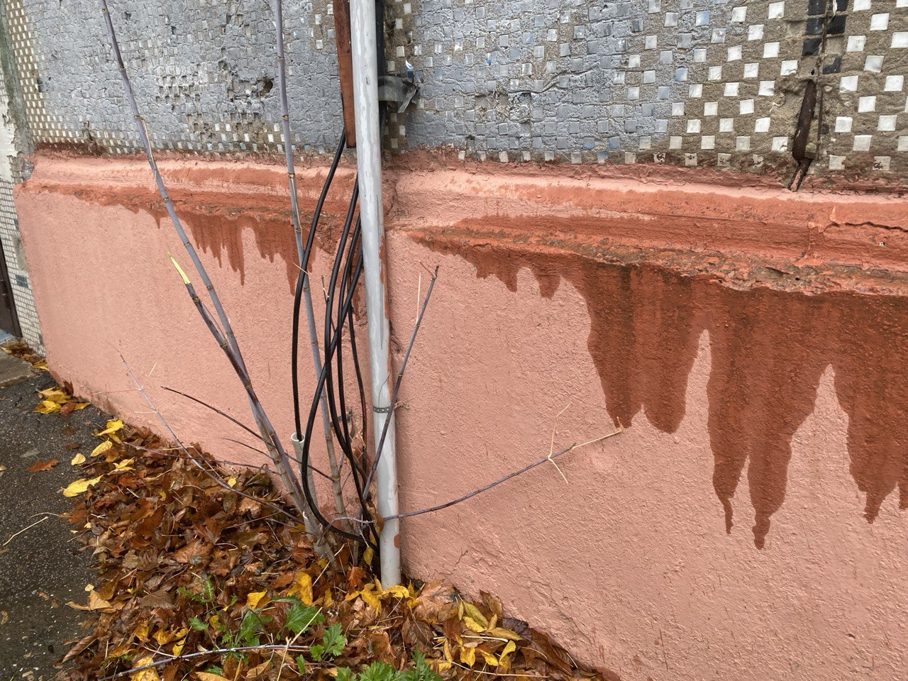 Фото: Тульская служба новостей