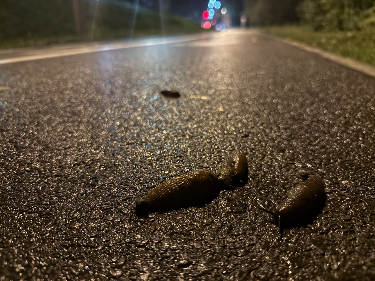 Фото: Тульская служба новостей