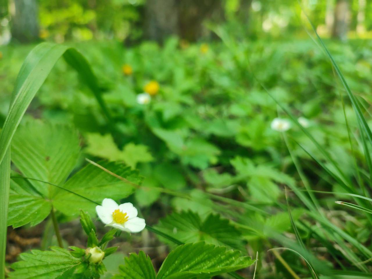Фото: «Тульские парки»