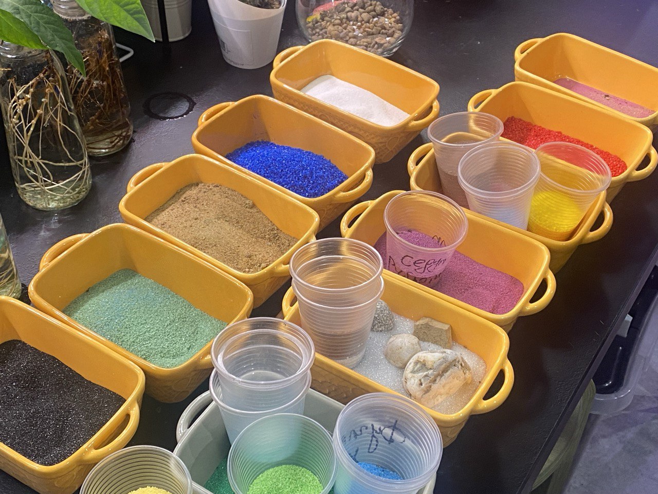 Фото: Тульская служба новостей