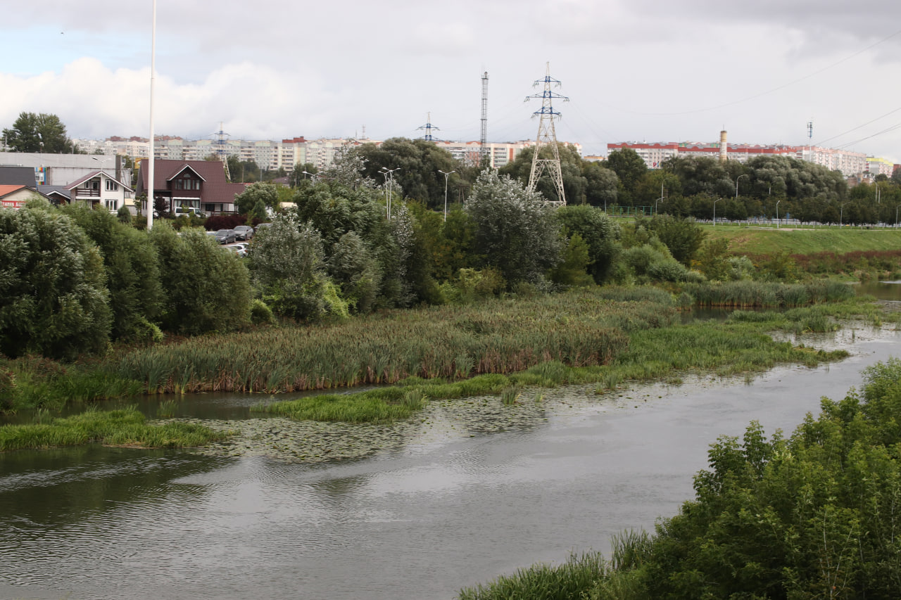 Фото: Тульская служба новостей