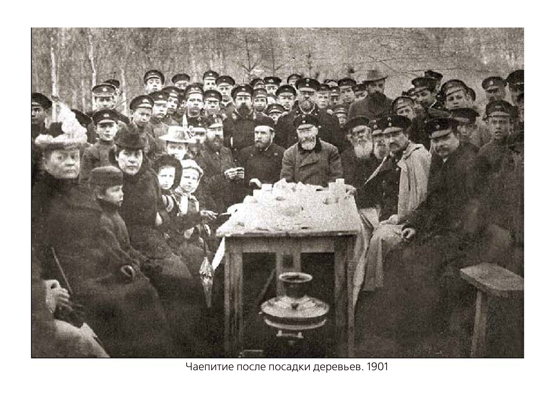 Фото предоставлено ГУ ТО “Тульские парки”