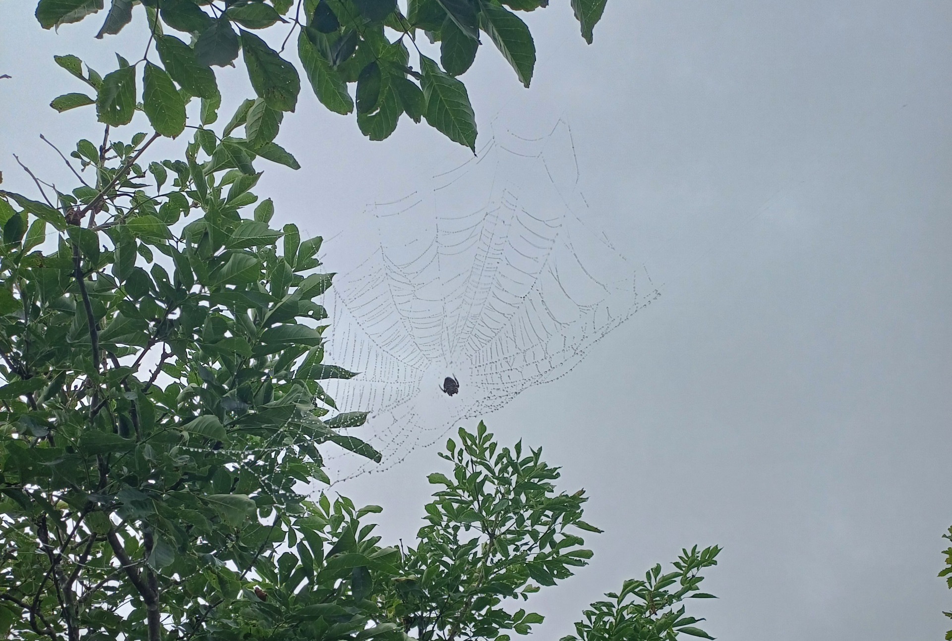 Фото: Екатерина Карпенко 