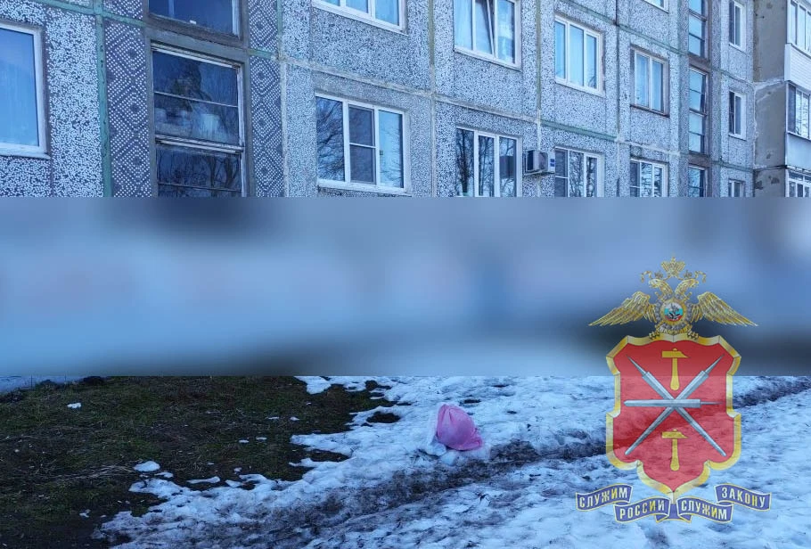 Фото: УМВД России по Тульской области