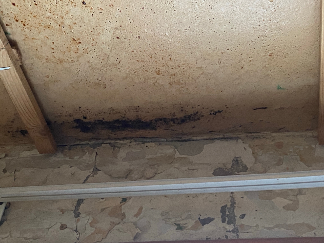 Фото: Тульская служба новостей