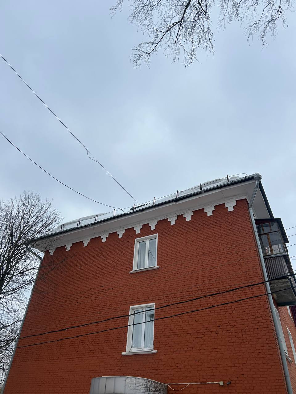 Фото: Тульская служба новостей