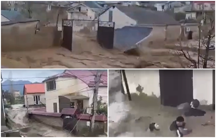 Фото: открытые источники