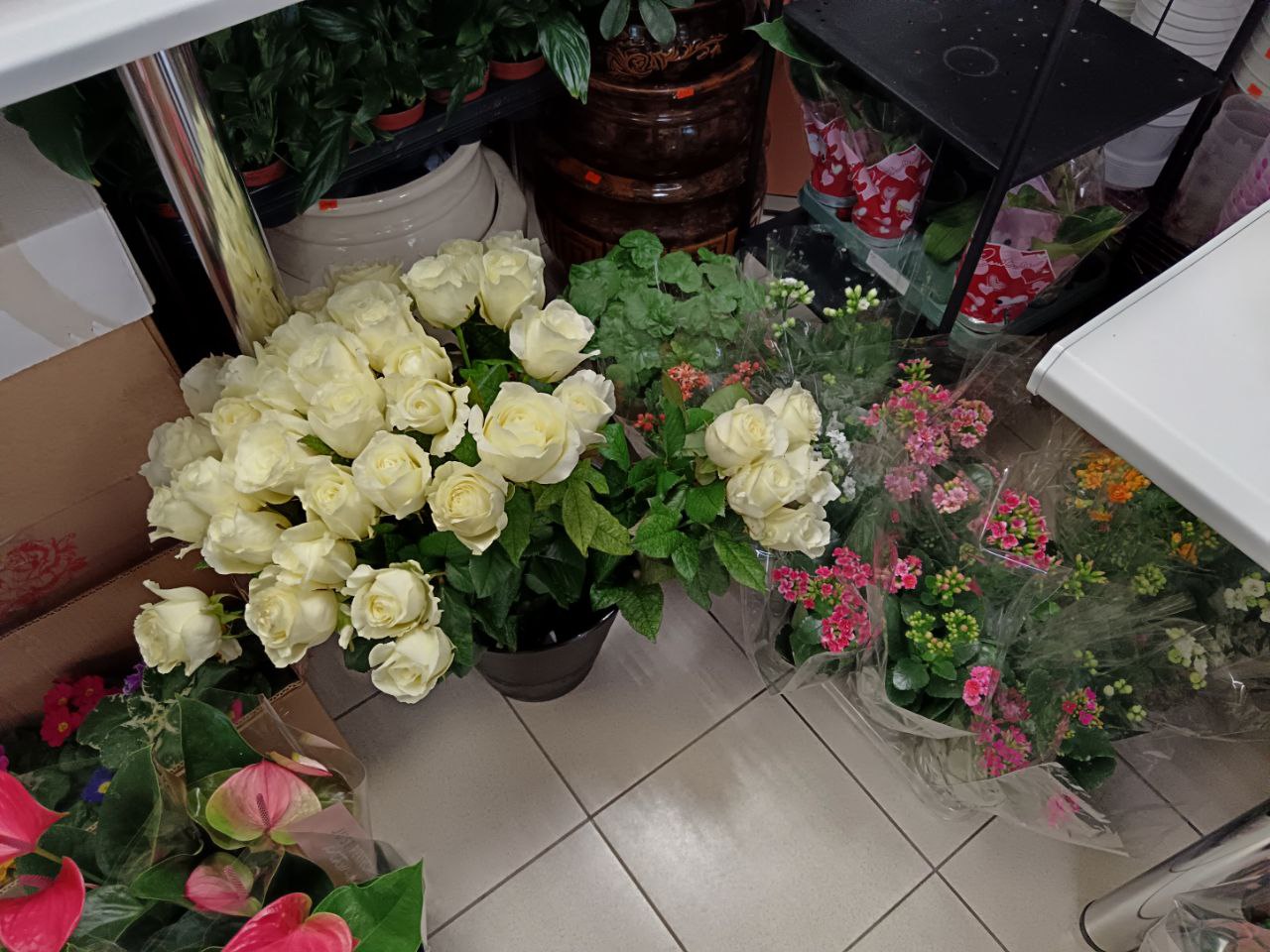 Фото: Тульская служба новостей