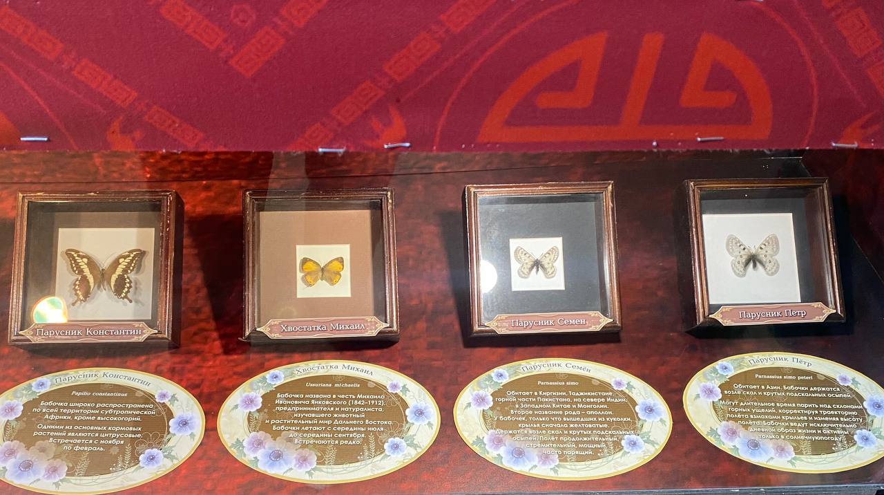 Фото: Тульская служба новостей