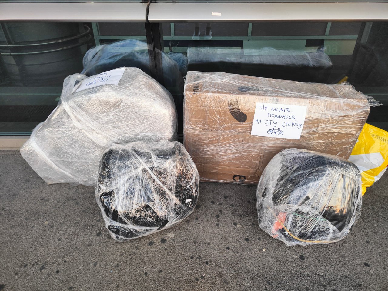 Фото: Ульяна Финикова