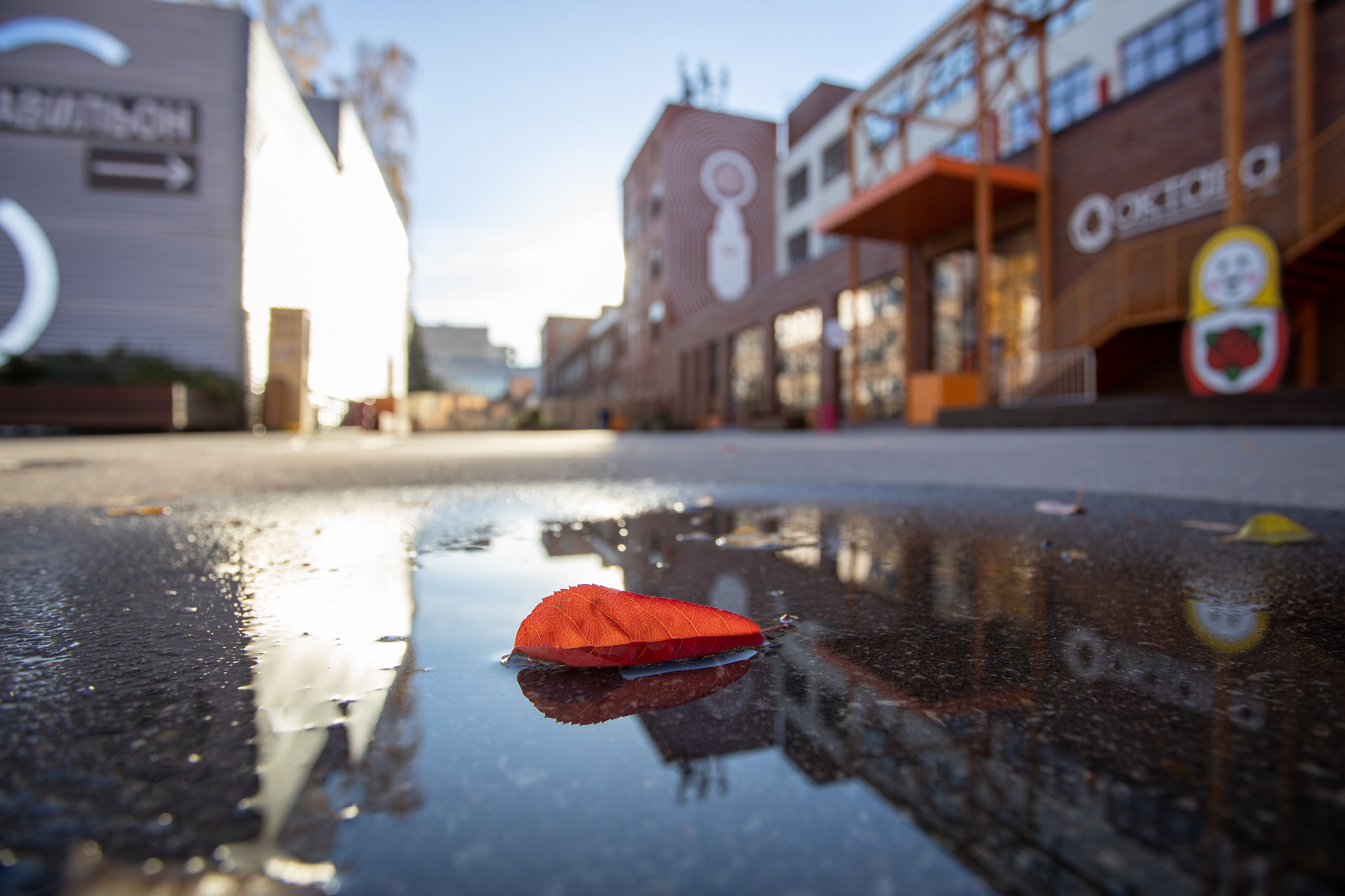 Фото: Тульская служба новостей 