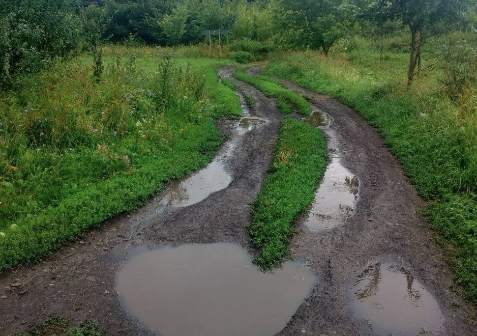 Фото: Евгения Неуступова
