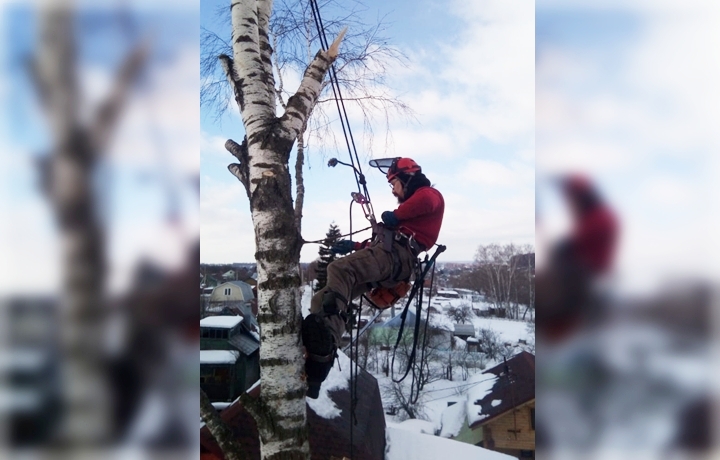 Фото предоставлено Алексеем Вороном