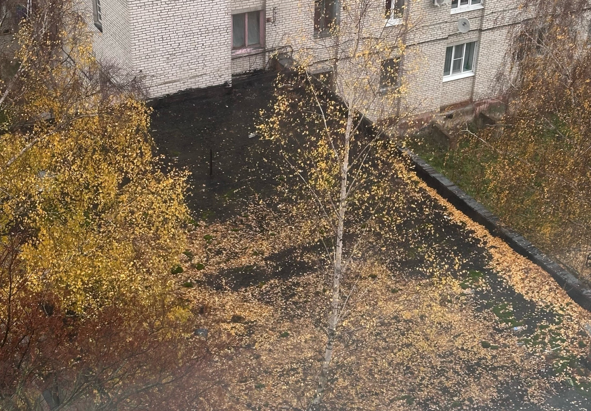 Фото: предоставлено жильцами дома