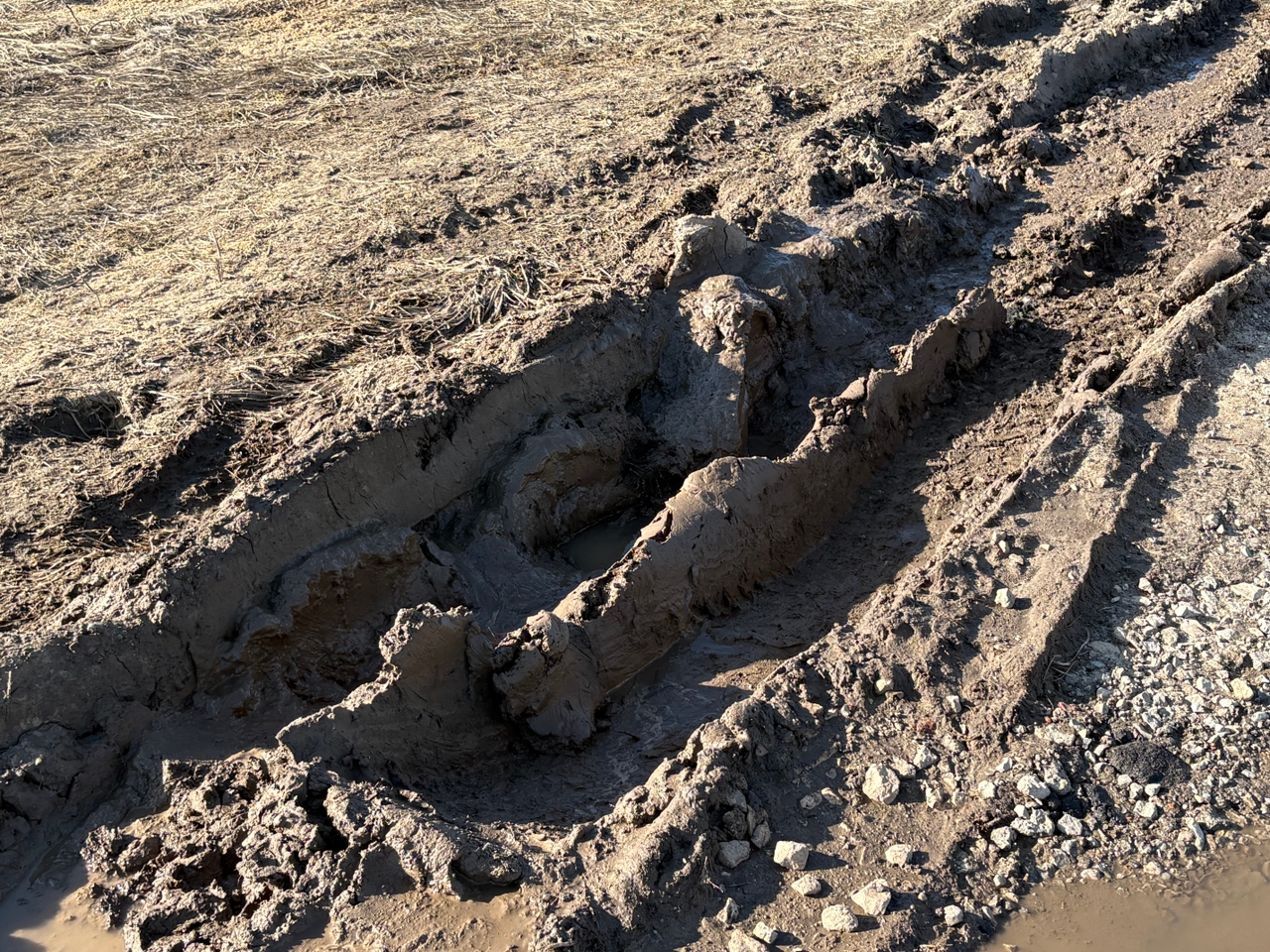 Фото: Тульская служба новостей