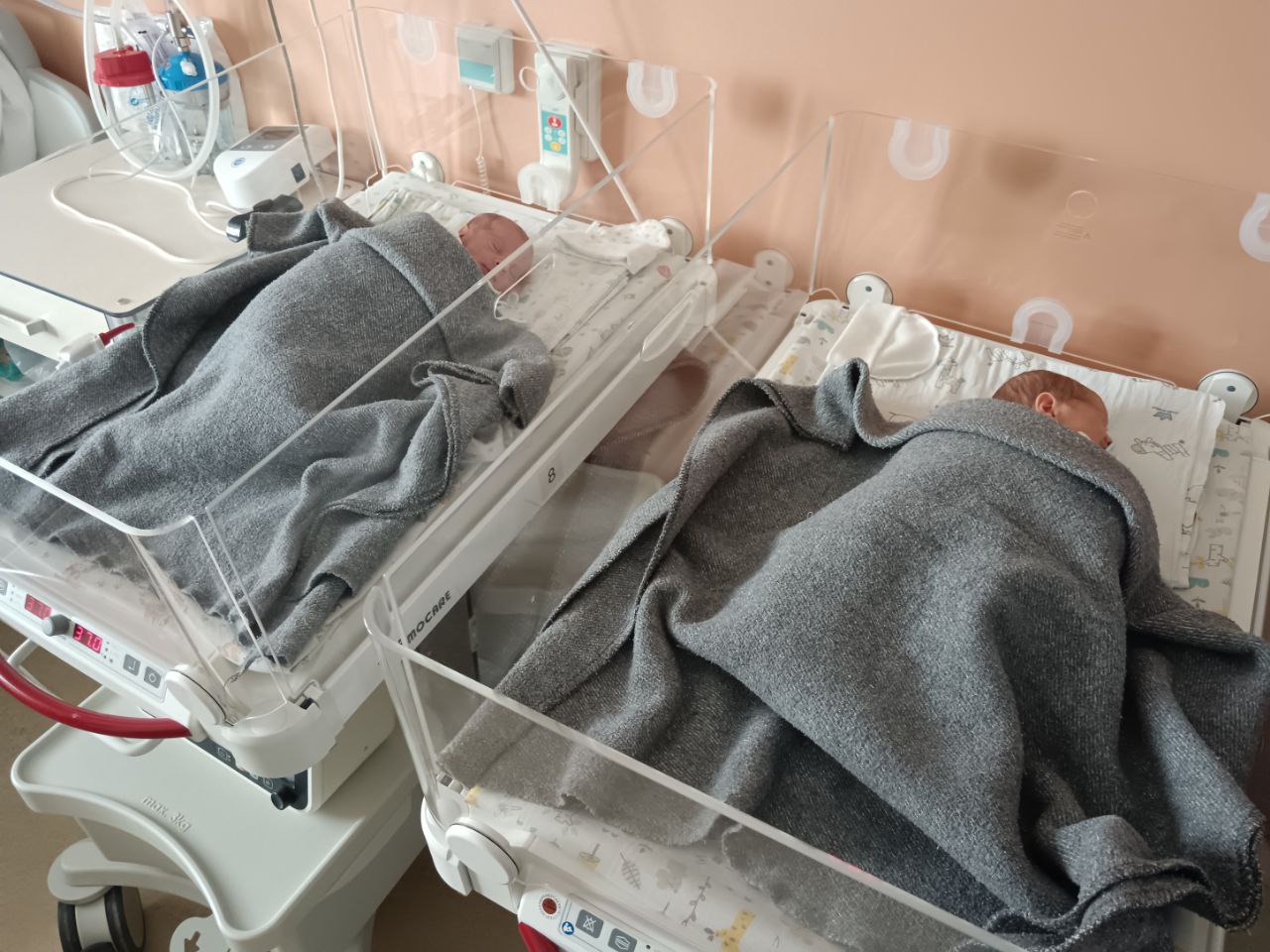 Фото: Тульская служба новостей