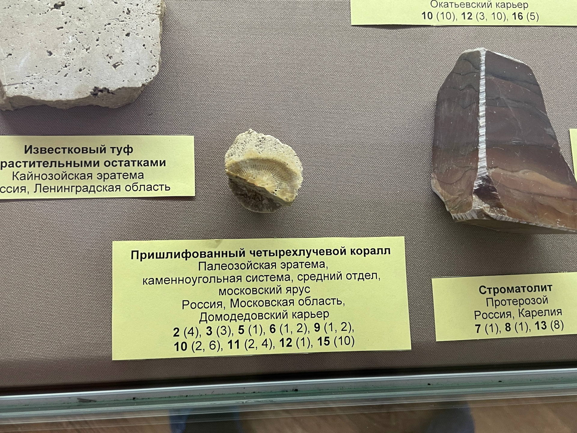 Фото: Тульская служба новостей