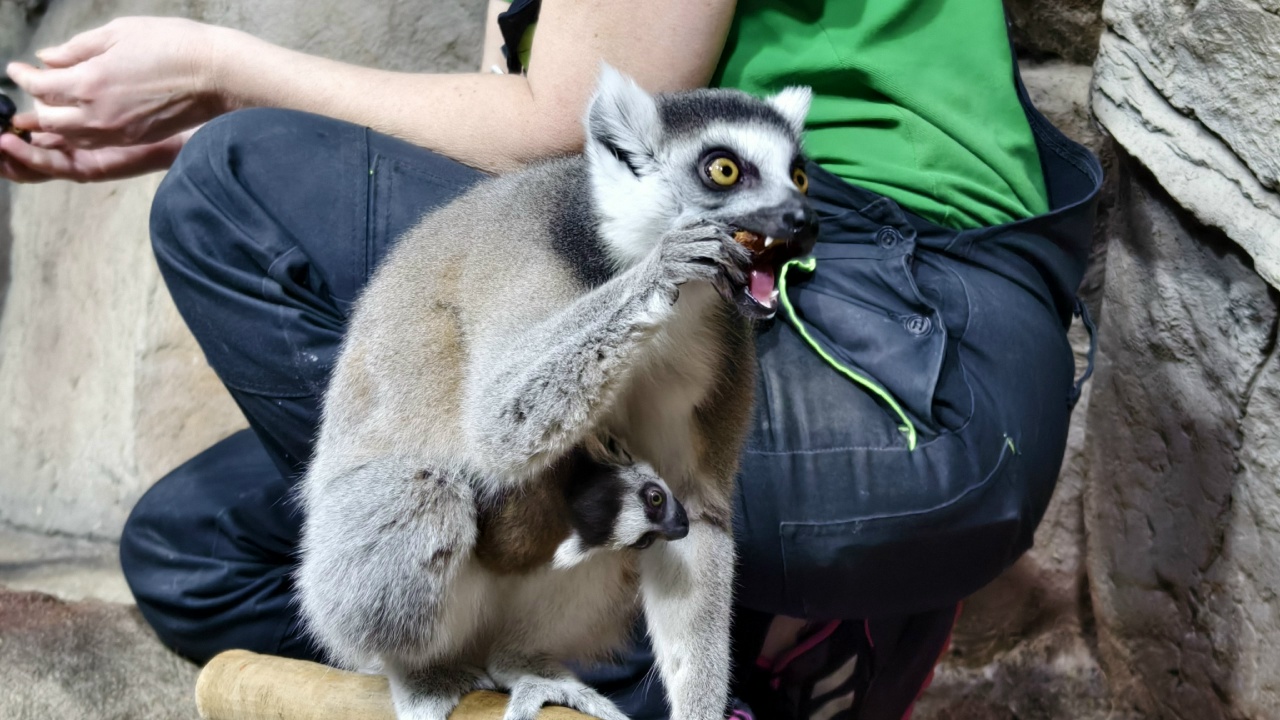 Фото: Тульский экзотариум