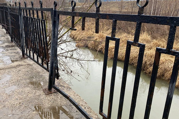 Фото: Тульская служба новостей