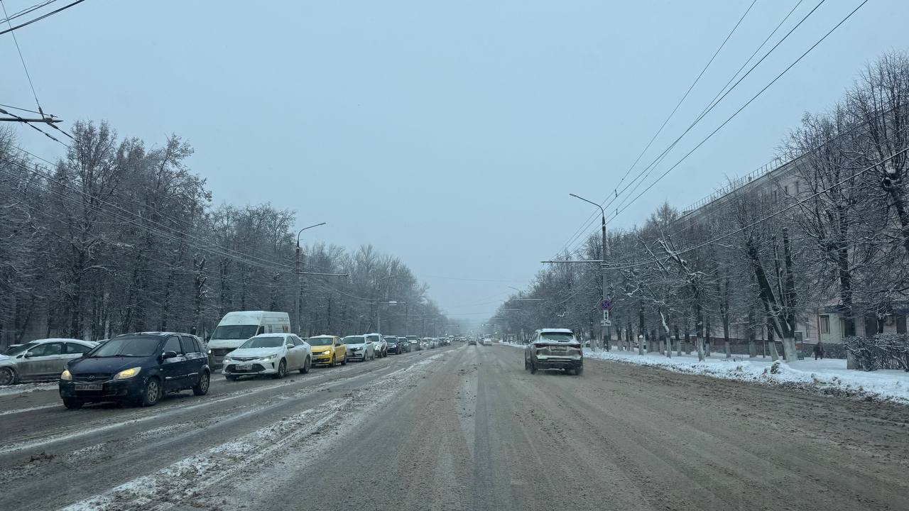 Фото: Тульская служба новостей