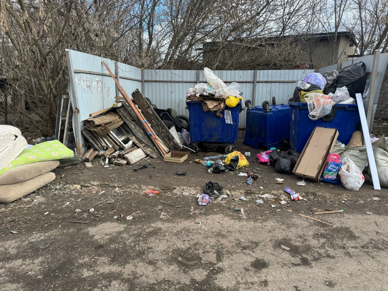 Фото: Елена Соловьева