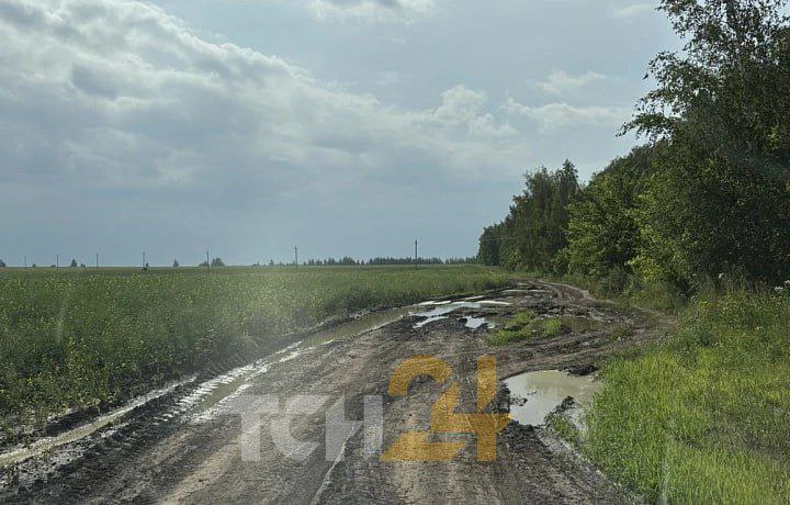 Состояние дороги летом