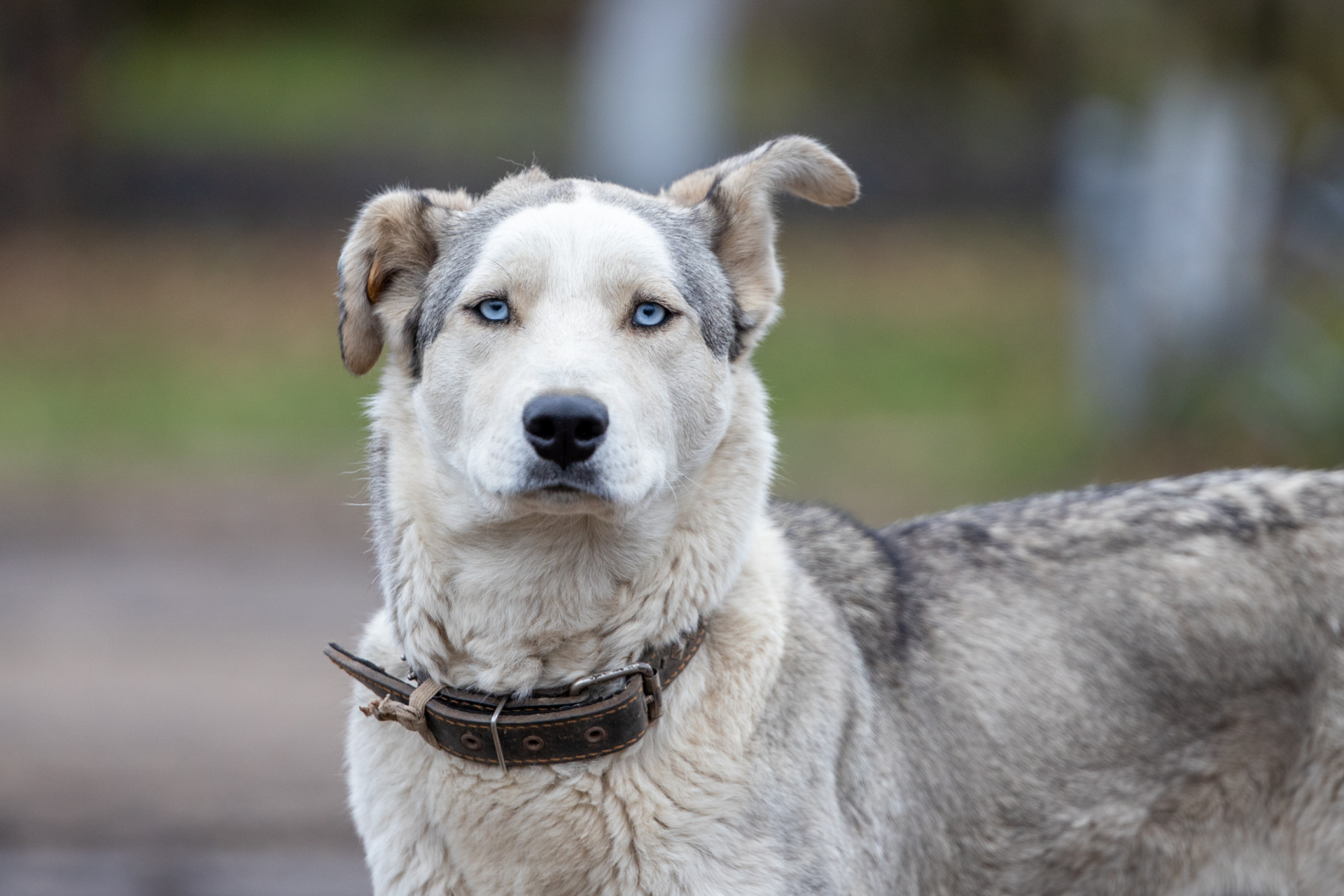 Фото из архива ТСН24