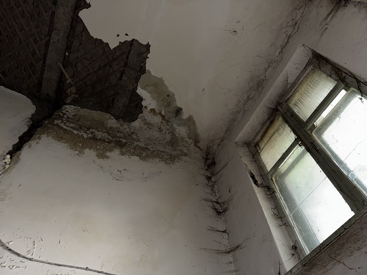 Фото: Тульская служба новостей