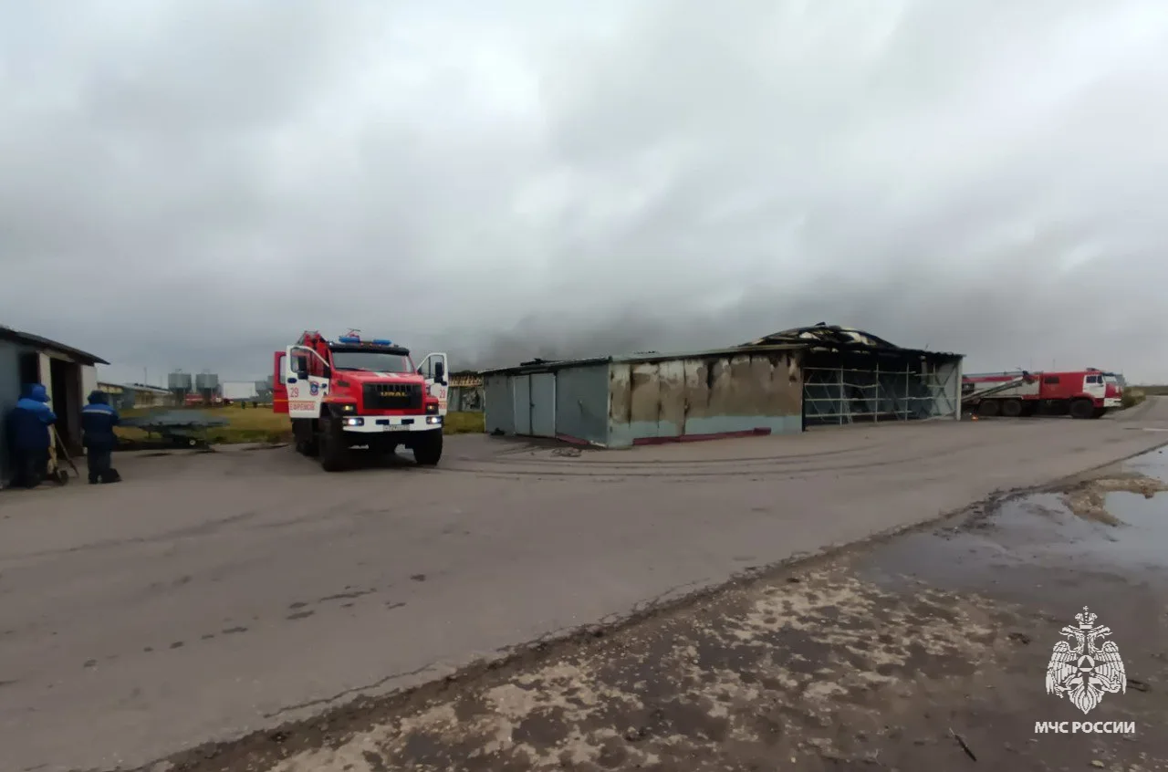 Фото: ГУ МЧС России по Тульской области