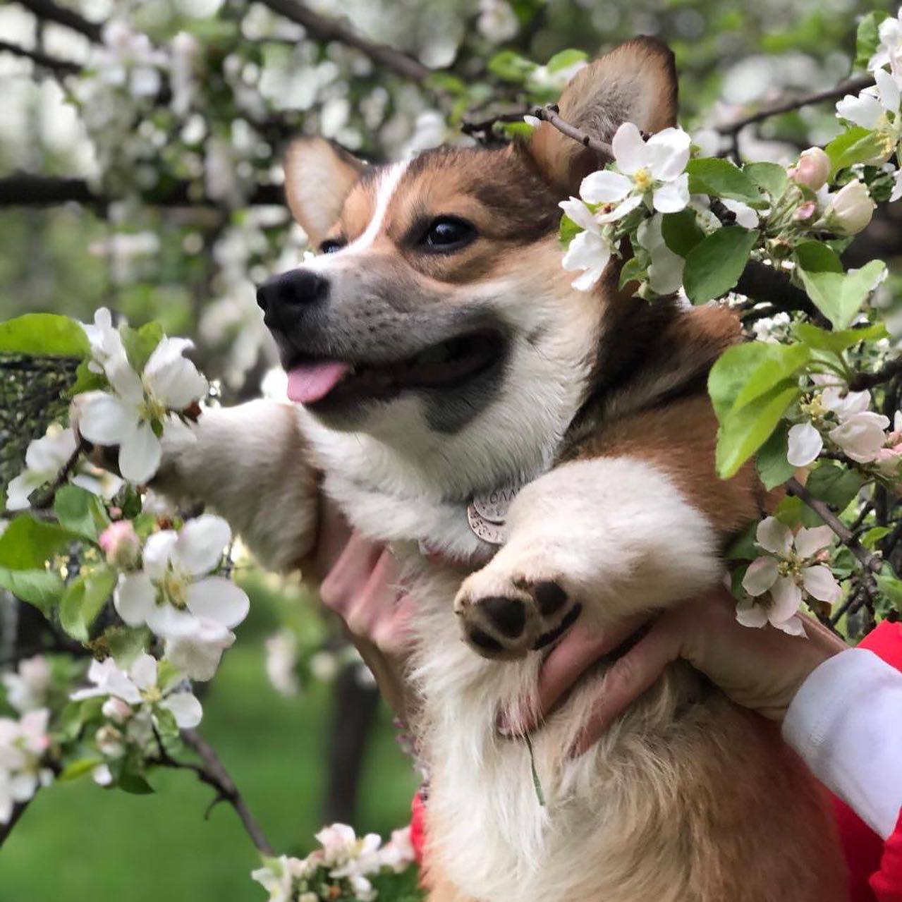 Фото предоставлено Людмилой Зелениной.