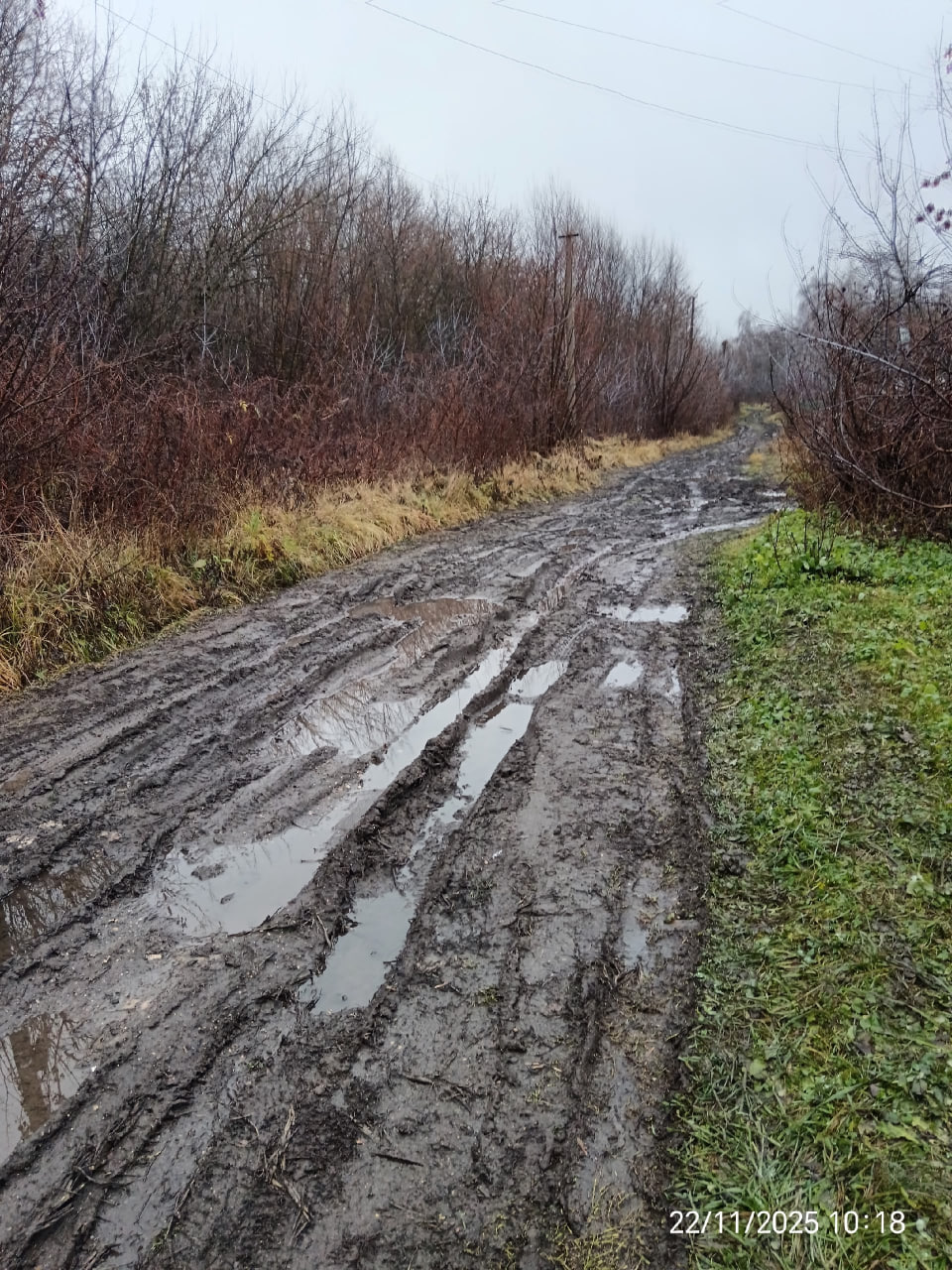 Фото предоставлено местными жителями.