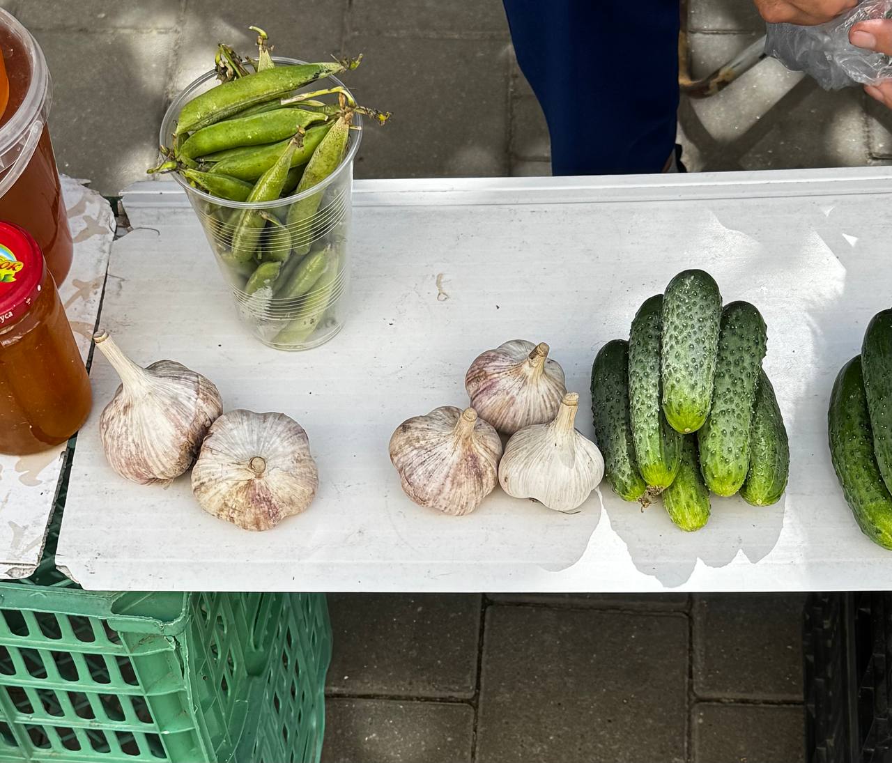 Фото: Тульская служба новостей