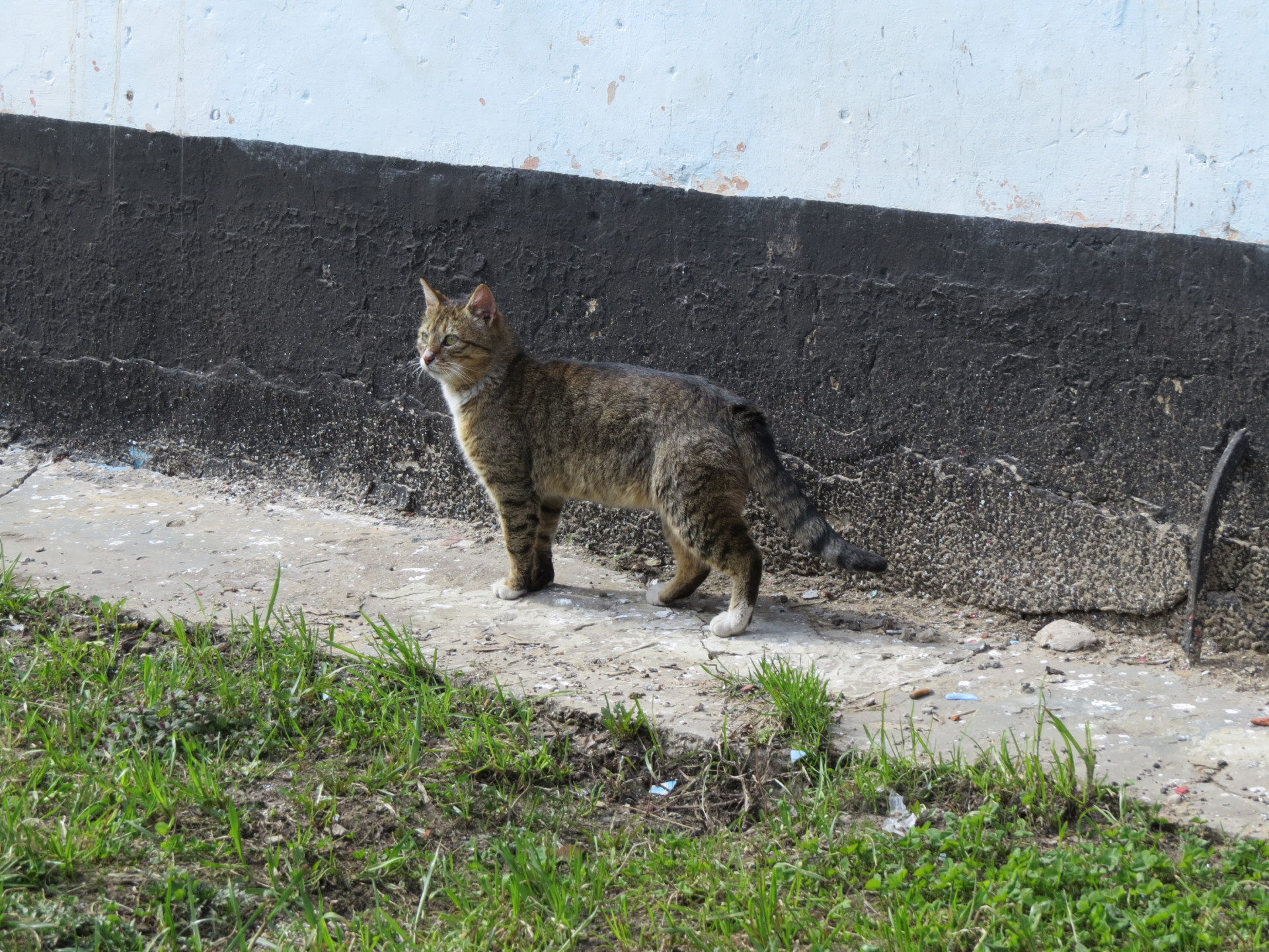 Фото: Тульская служба новостей