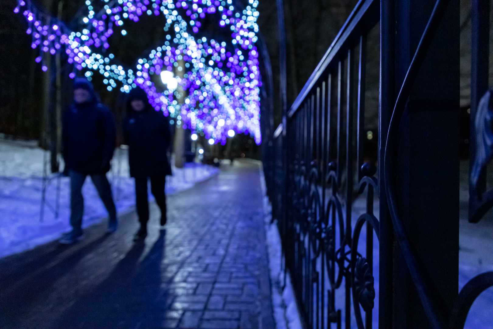 Фото: Тульская служба новостей