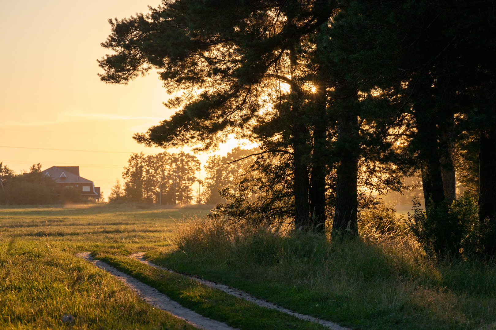 Фото из архива ТСН24