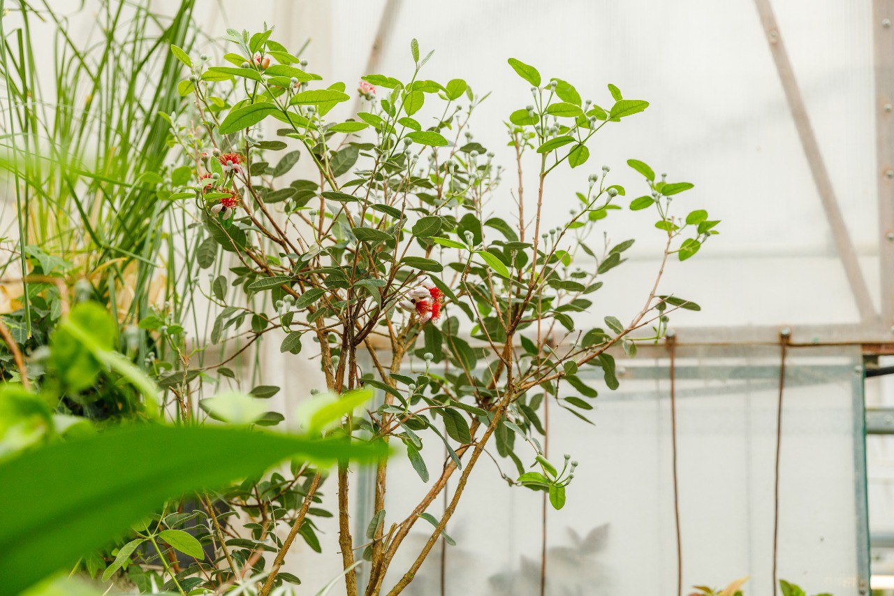 Фото: музей-усадьба «Ясная Поляна» 