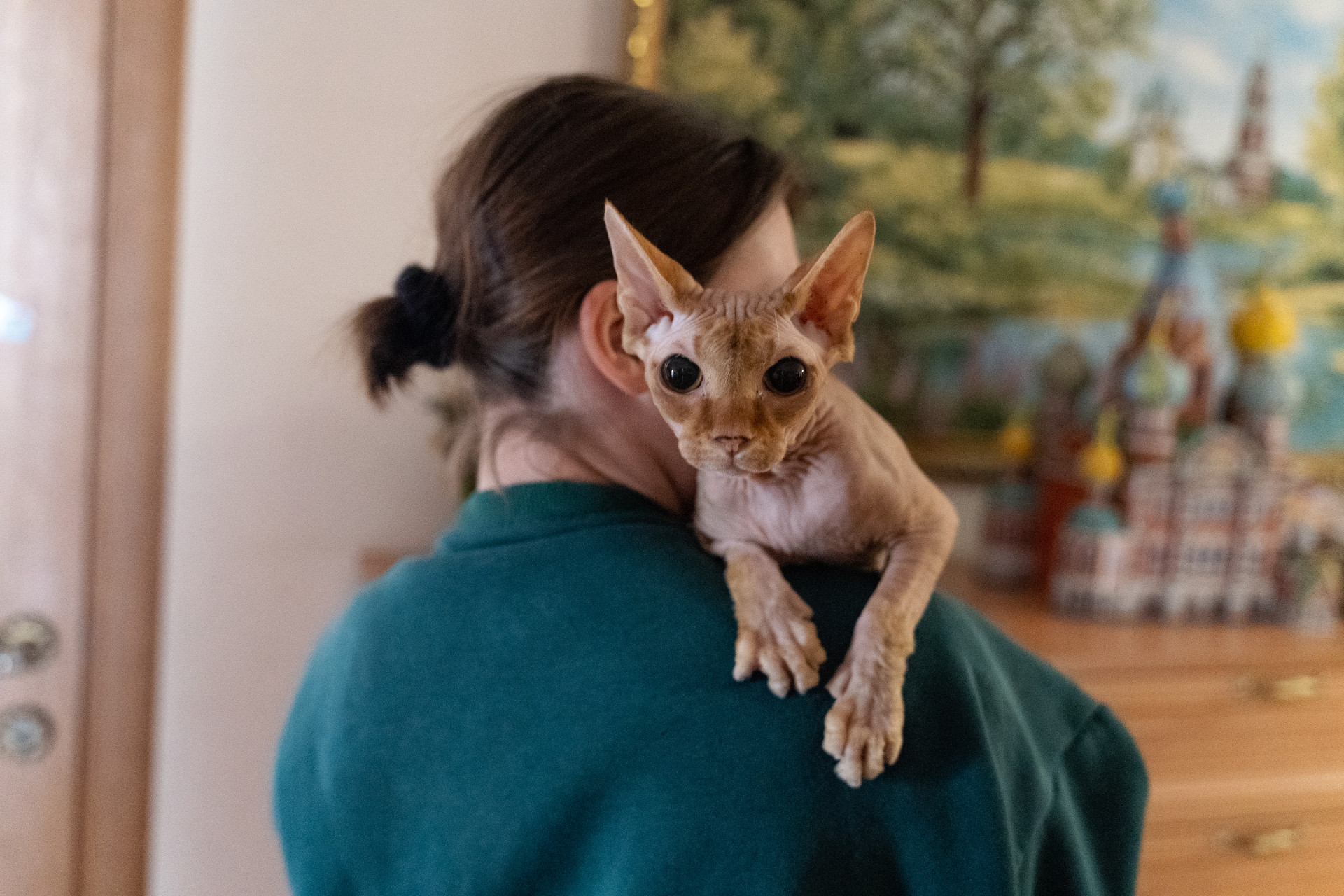 Фото: Тульская служба новостей