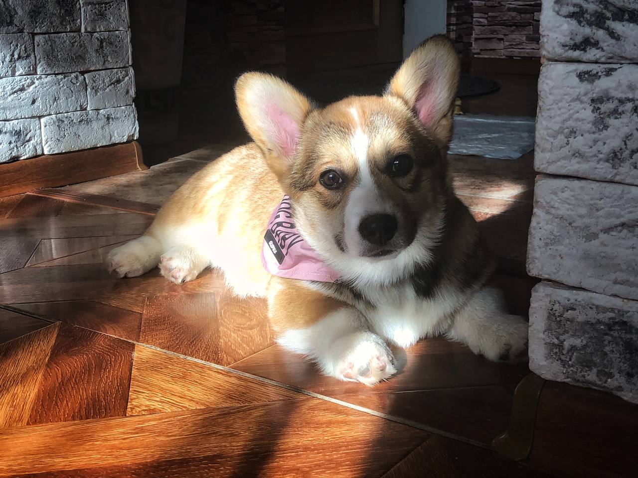 Фото предоставлено Людмилой Зелениной.