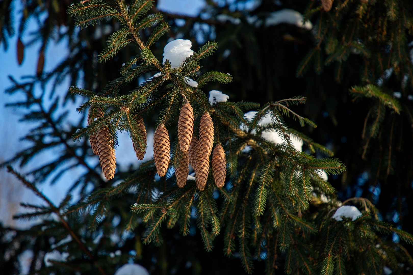 Фото из архива ТСН24