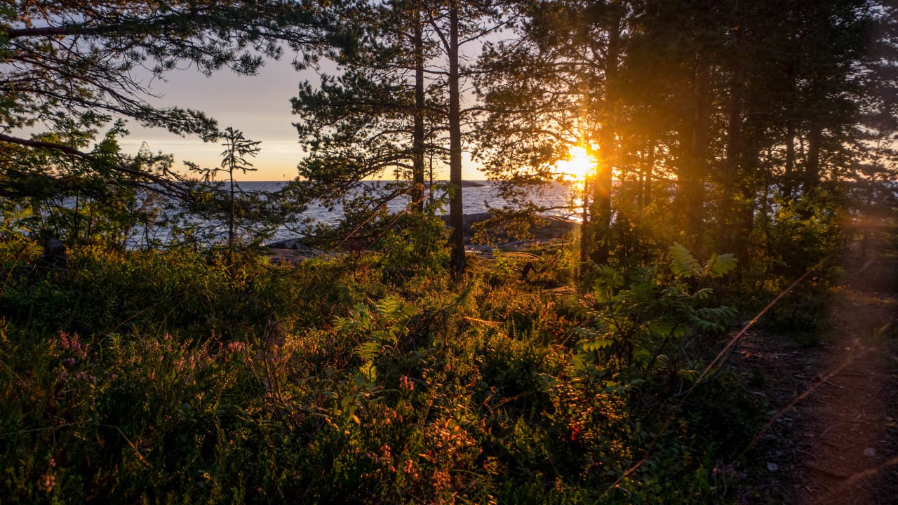 Фото: Ульяна Финикова