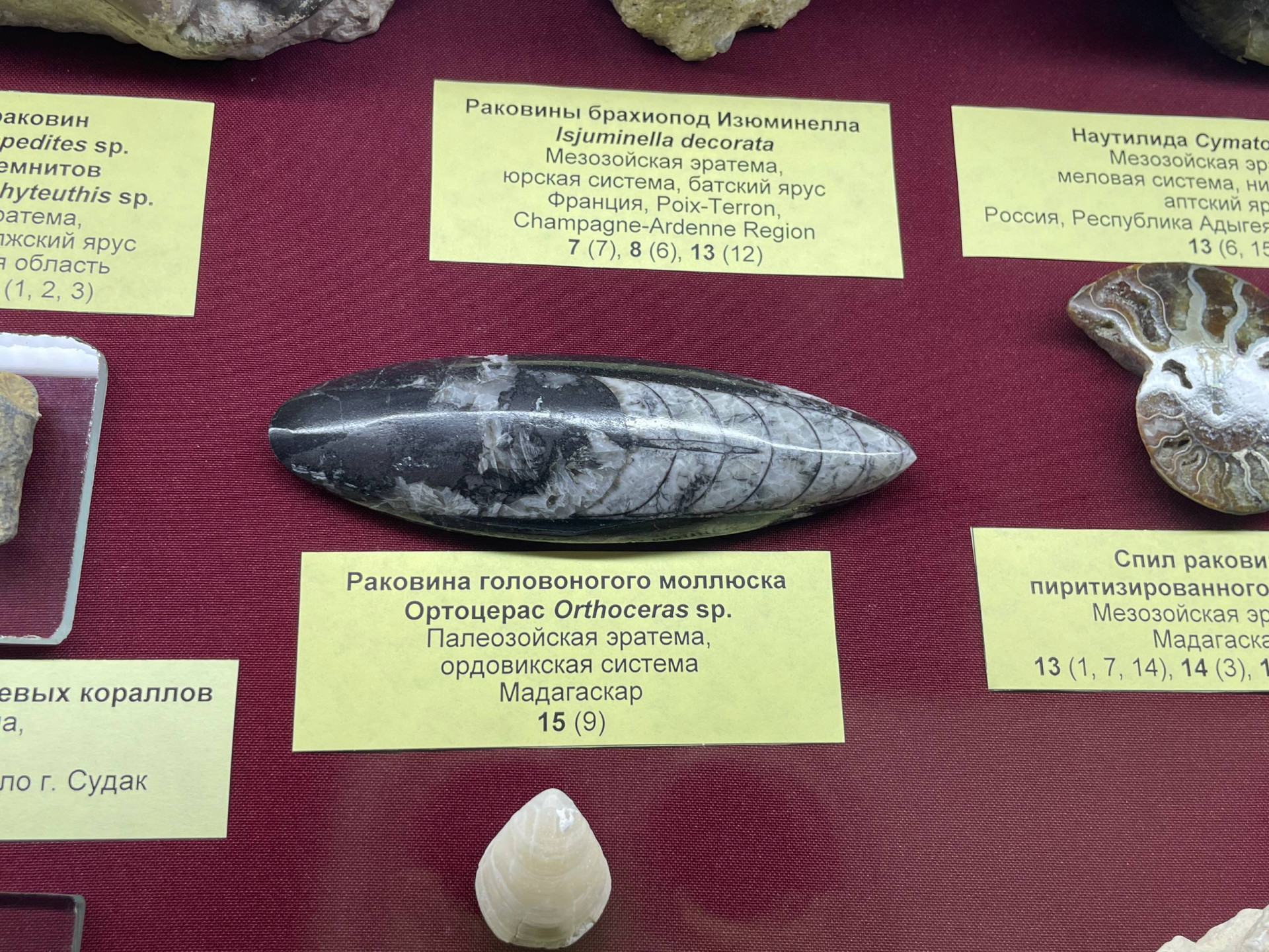 Фото: Тульская служба новостей