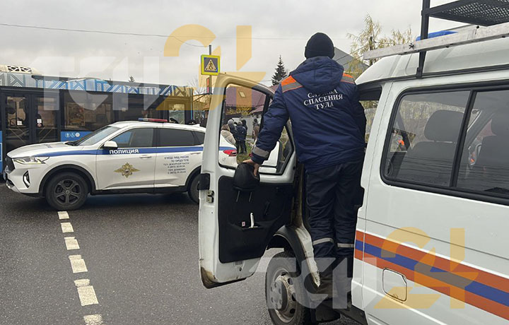 Фото: Тульская служба новостей