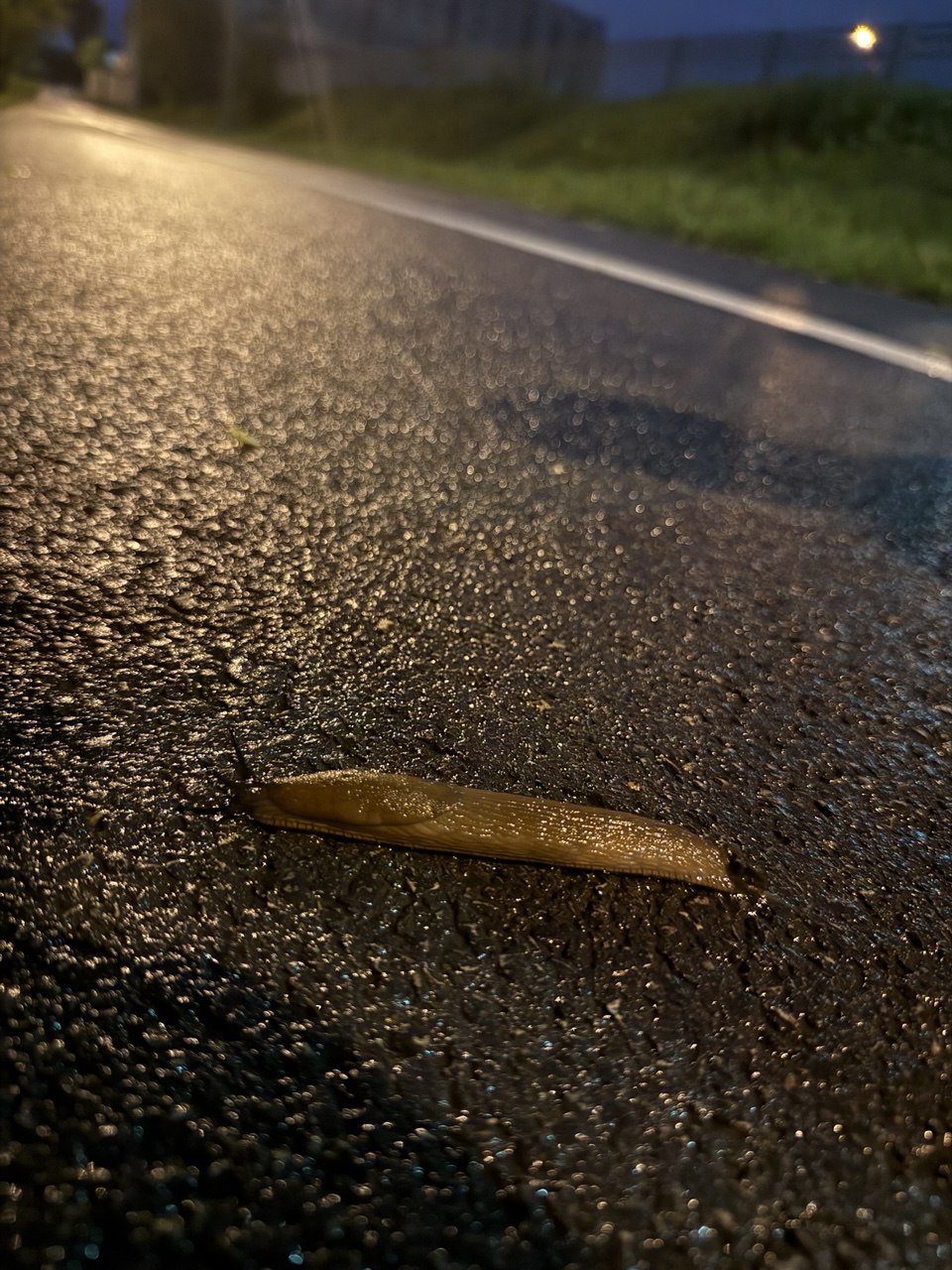 Фото: Тульская служба новостей