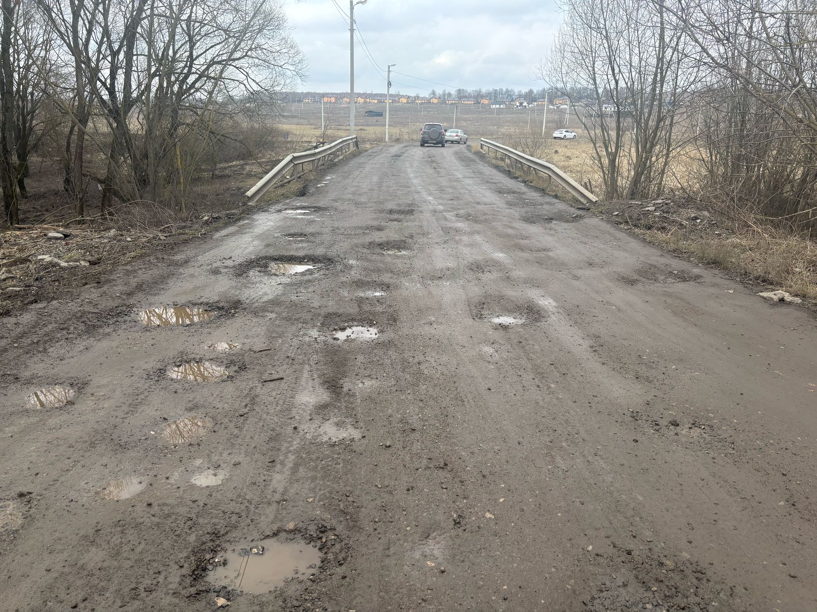 Фото: Тульская служба новостей 