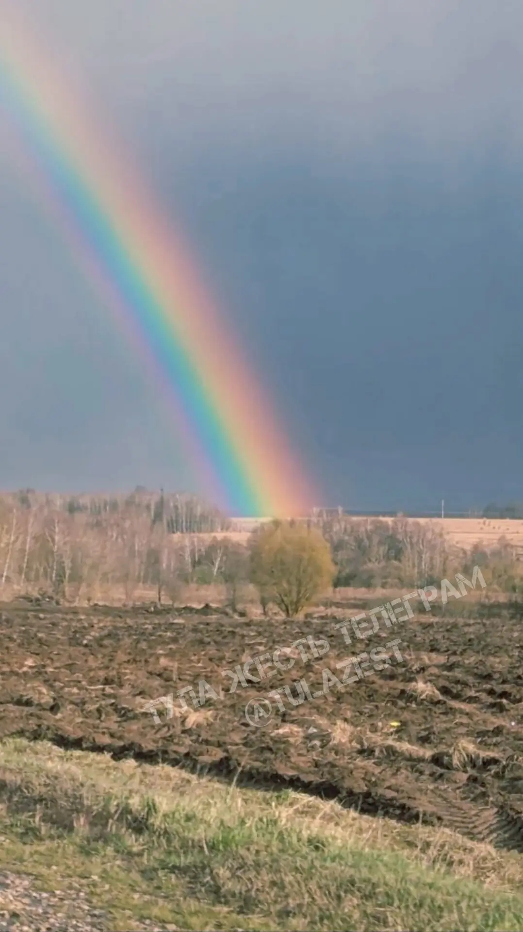 Фото: канал в МАХ «Тула жесть»