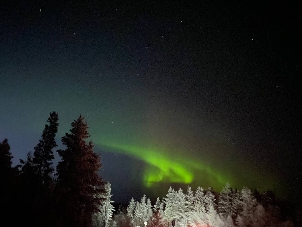 Фото: Тульская служба новостей