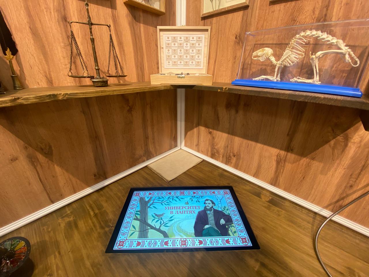 Фото: Тульская служба новостей