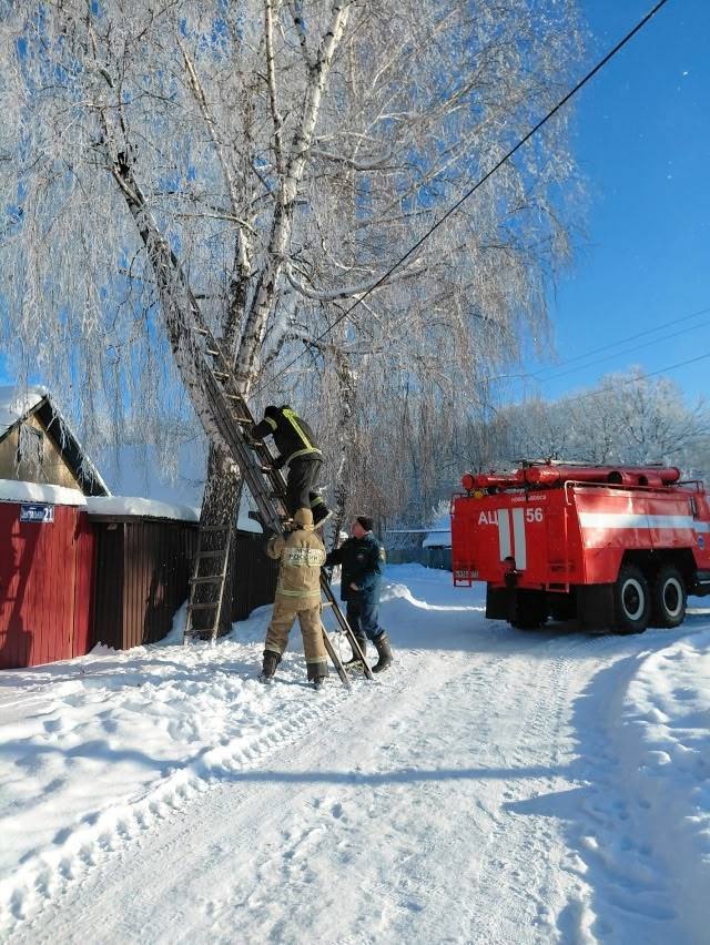 Фото: МЧС России по Тульской области 